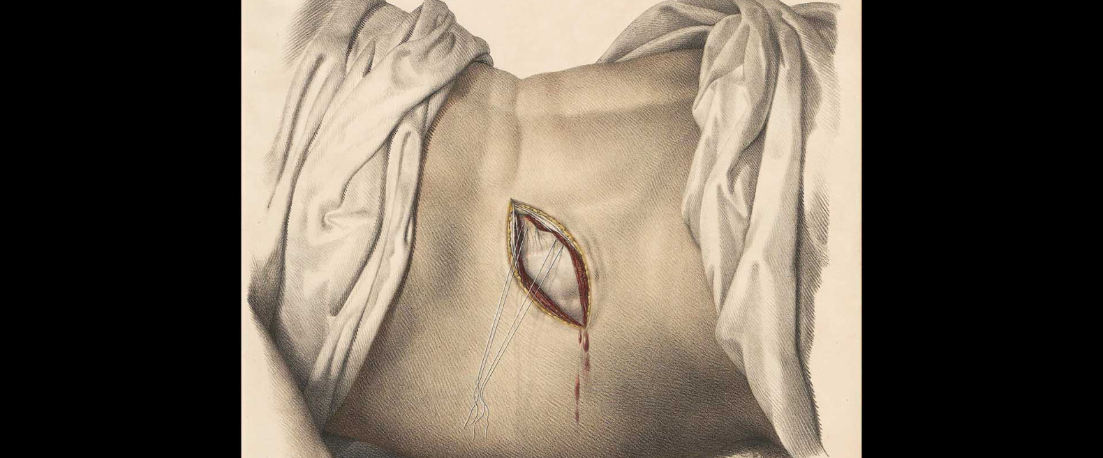 NÔT de Marlene Monteiro Freitas, 2025 